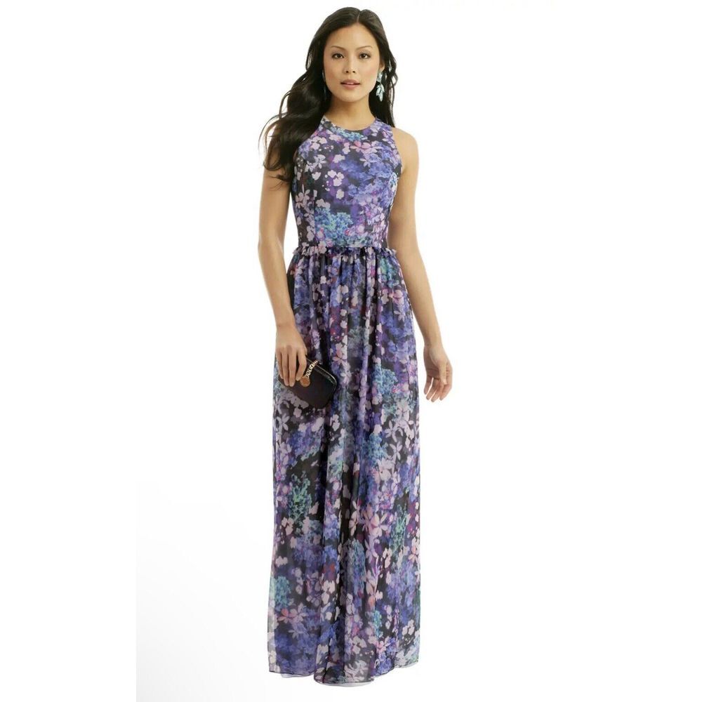 Shoshanna Hydrangea Maxi Dress Purple Blue Size 2 Sleeveless Spring Lined Pocket